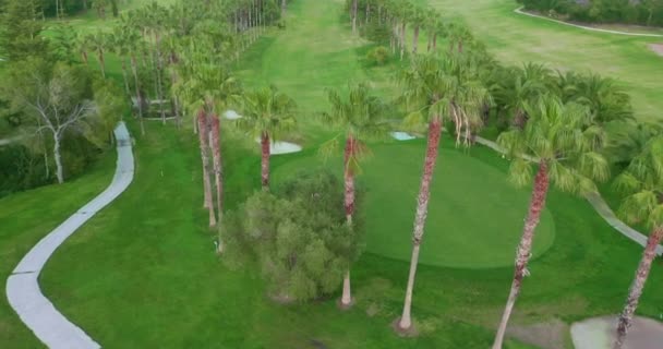 Grön golfbana, flygutsikt puttinggreen. — Stockvideo