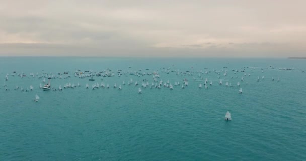 Vista aérea. Muitos pequenos veleiros flutuam no mar. Regata . — Vídeo de Stock