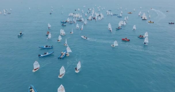 Luchtfoto 's. Veel kleine zeilbootjes drijven in zee. Toepassingsgebied. — Stockvideo