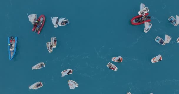 Luchtfoto Grote Groep Kleine Zeilboten Zee — Stockvideo