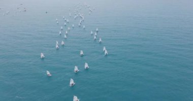 Hava görüntüsü. Denizde küçük yelkenliler.