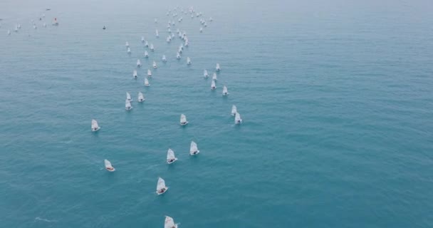 Luftaufnahme. Kleine Segelboote auf See. — Stockvideo