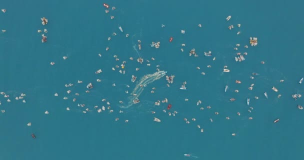 Вид з повітря. Малі вітрильники в морі . — стокове відео