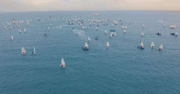 Vista Aérea Muchos Veleros Pequeños Flotan Mar Regata — Vídeos de Stock