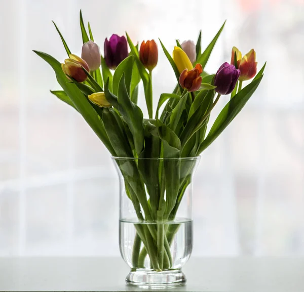 Tulpen Glazen Vaas — Stockfoto