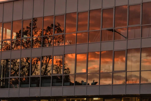 Reflection Glass Facade — Stock Photo, Image