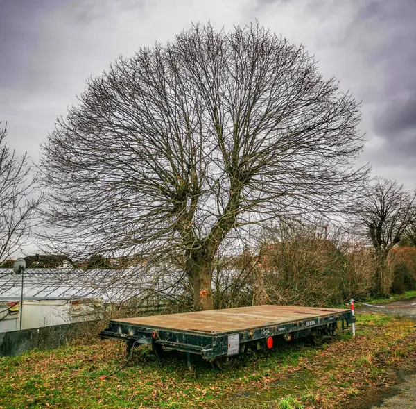 Árvore Inverno Frente Veículo Estufa Ferroviário — Fotografia de Stock