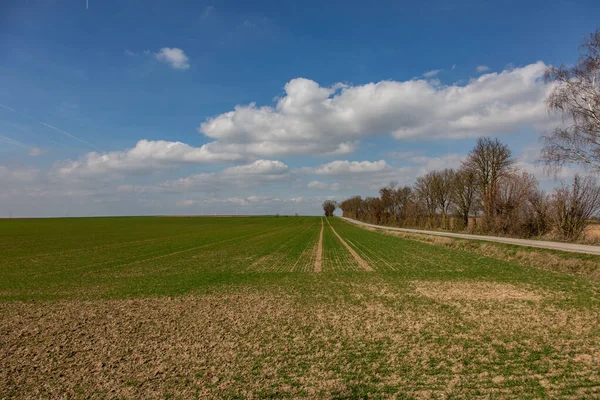 Ackerland Und Weiße Wolken Perfekter Harmonie — Stockfoto