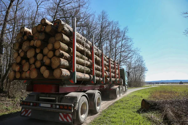 Transport Drewna Ciężarówką — Zdjęcie stockowe