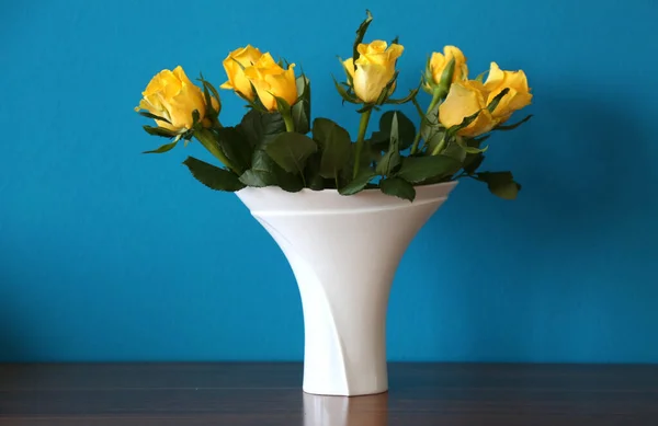 Rosas Amarelas Contra Uma Parede Azul Vaso Branco — Fotografia de Stock