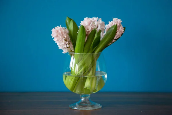 Jacinthes Roses Dans Vase Verre — Photo