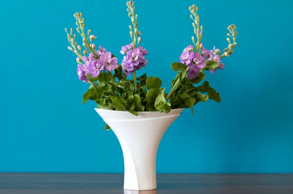 Levkins Vaso Branco Contra Uma Parede Azul Uma Mesa Madeira — Fotografia de Stock