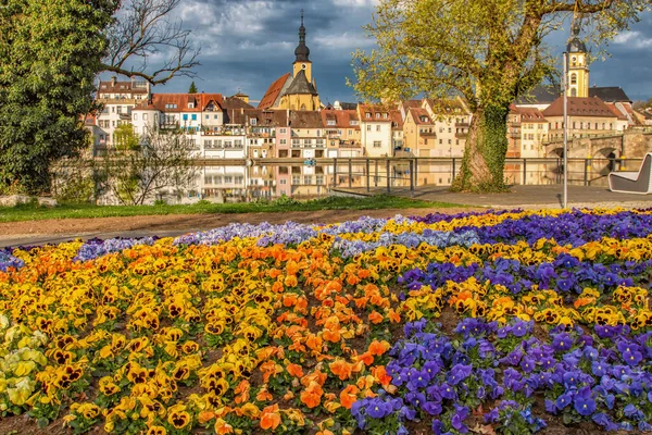 Spring flowers on the river with an old town in the background