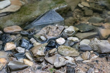 Nehrin kıvrımlarında çakıl taşları