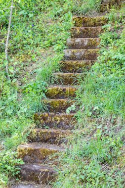 Yosun tutmuş eski taş merdivenler.