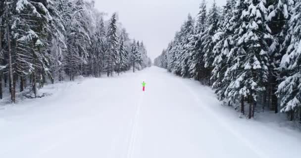 Pohled shora dolů na les v zimě. Zimní krajina v lese. Létání přes lyžařskou dráhu v zimním lese. Pohled shora dolů na lyžařskou silnici. Drone sledovat chodící dívku lyžař na sjezdovce.