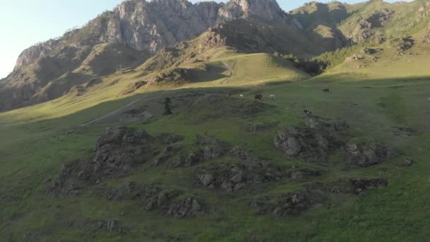 Voo Alta Altitude Sobre Prados Montanha Verdes — Vídeo de Stock