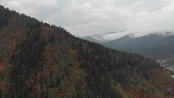 Letecký Pohled Podzimní Les Hory Mracích — Stock video