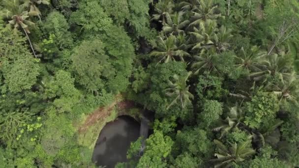 Veduta Volo Uccello Una Cascata Che Scorre Tra Giungla — Video Stock