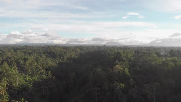 Rizsteraszok Dzsungel Felett Röpködve Vulkánok Közepette — Stock videók