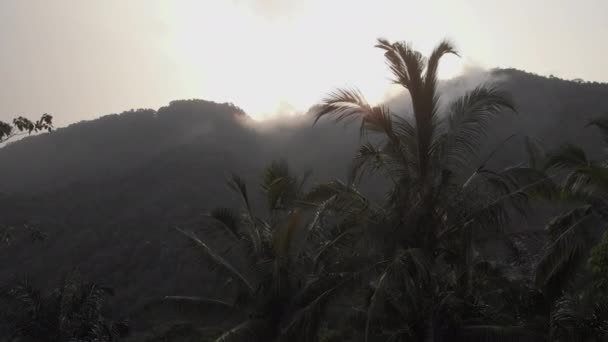 Puesta Sol Sobre Selva Terrazas Arroz — Vídeo de stock