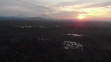 Palmiye ağaçlarıyla pirinç teraslarının üzerinde gün doğumu 