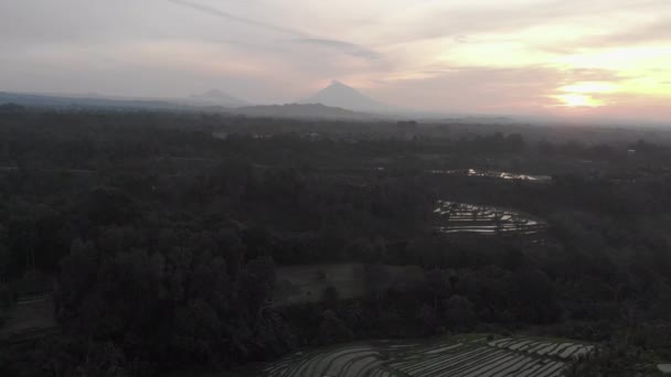 Sonnenaufgang Über Reisterrassen Mit Palmen — Stockvideo