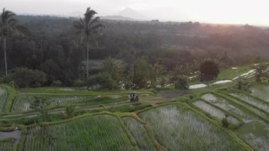 Gün doğumunda bir adam ve kız pirinç teraslarının arasında bisiklet sürüyorlar.