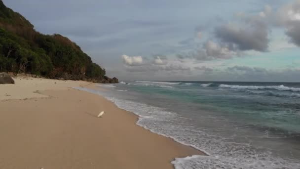 Una Gaviota Sienta Playa Arena Del Océano Índico Atardecer — Vídeos de Stock