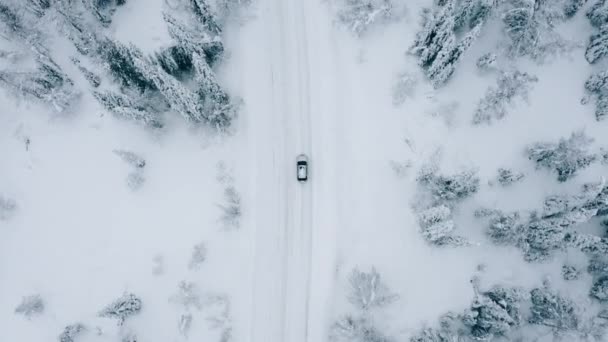 Top View Car Winter Highway Snowy Coniferous Forest — Stock Video