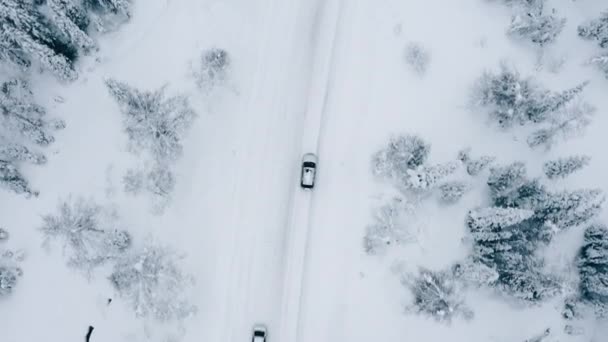 Vista Superior Coche Una Carretera Invierno Entre Bosque Coníferas Nevadas — Vídeos de Stock