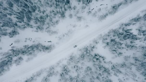 눈덮인 침엽수림 사이의 겨울철 도로에 자동차의 꼭대기 — 비디오