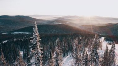 Snowboardcu dağların üzerinde gün batımına ve karlı kozalaklı ormana hayran..
