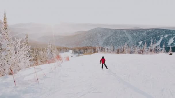 Skier Κόκκινο Μπουφάν Μια Χιονισμένη Πλαγιά Σκι Ανάμεσα Στο Δάσος — Αρχείο Βίντεο