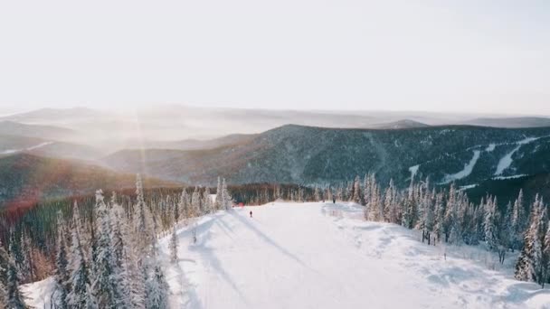 Skier Red Jacket Snowy Ski Slope Forest Sunset — ストック動画