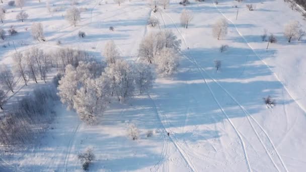 Luchtfoto Van Een Besneeuwd Bos Skiërs — Stockvideo