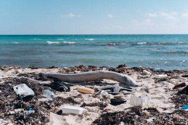 Karayipler 'in kumlu sahillerinde plastik çöp ve algler.