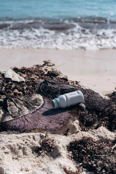 加勒比海沙滩上的塑料垃圾和藻类 — 图库照片