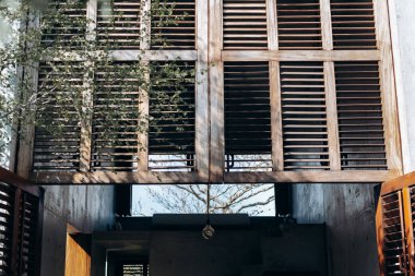 Beton evin penceresinin dışında yaprakları olmayan dalsız bir ağaç.