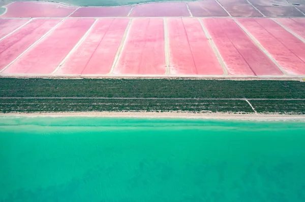 Fågelperspektiv Rosa Saltsjöarna Åtskilda Ett Sandstänk Från Mexikanska Golfen Yucatan — Stockfoto