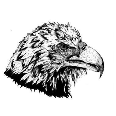 Kartal çizimi, Kara çizim