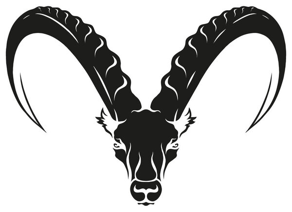 Ibex Head
