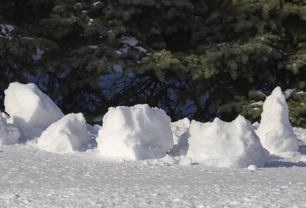 Ağacın Önünde Beş Blok Kar — Stok fotoğraf