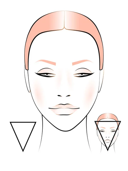 Template Creating Makeup Image Female Face Triangular Shape — Stock Vector