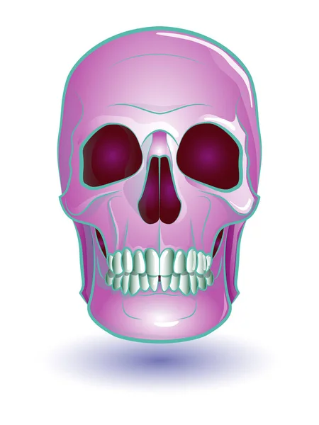 白地にピンクの人間の頭蓋骨 — ストックベクタ