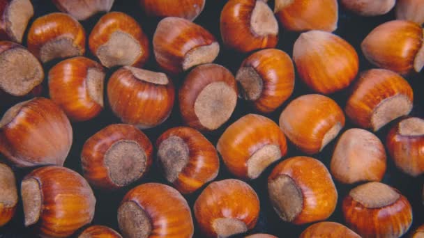 Whole Shelled Hazelnuts Texture Faded Background Pile Nuts Healthy Food — Stock Video