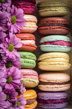 Arkaplanda çiçekli renkli kurabiyeler. Sevgililer Günü (14 Şubat), Anneler Günü, Doğum Günü veya Kadınlar Günü (8 Mart) konsepti. Fransız bademli bademli kurabiyeler. Kapat, boşluğu kopyala