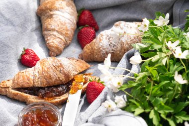 Roissant, çilek ve reçel. Güneşli bir günde yaz pikniği. Bahçedeki yeşil çimlerin üzerinde beyaz bahar çiçekleri açan kahvaltı. Dışarıda yemek yemek. Reçel yayıyorum. Boşluğu kopyala, kapat
