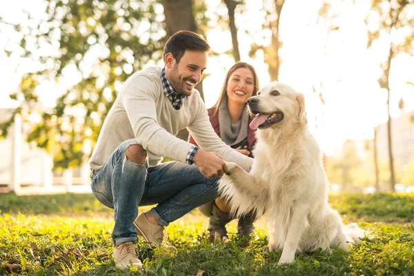 Their best friend — Stock Photo, Image