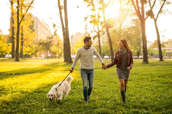 Caminhando o cão — Fotografia de Stock